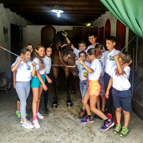 scuola equitazione Randis